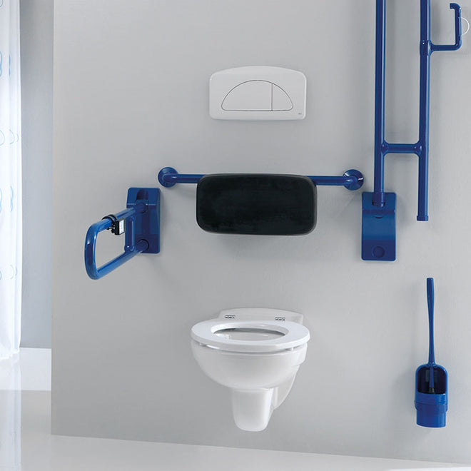 Ponte Giulio Shower Grab Bars